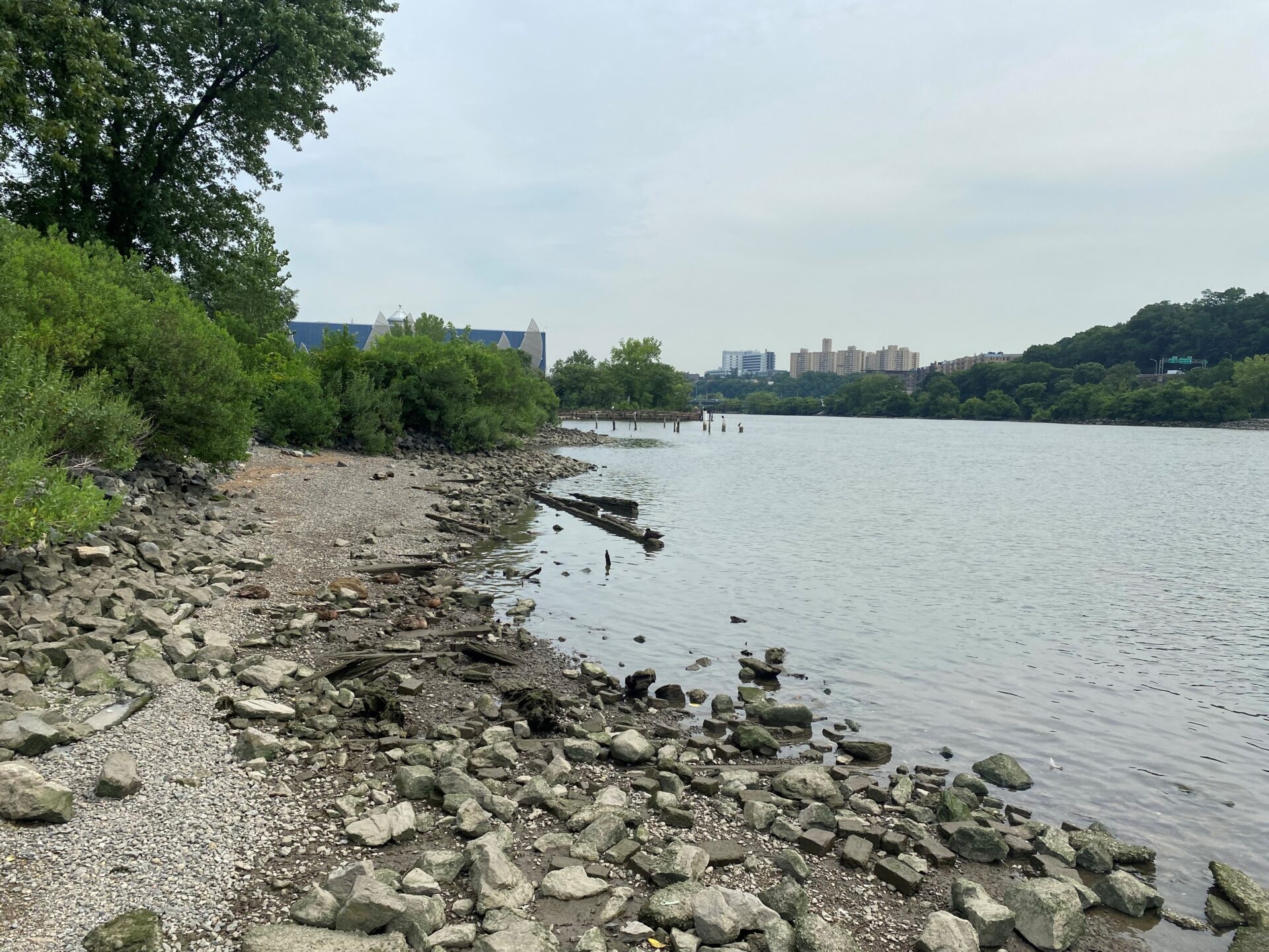 rocky shoreline on river with trees