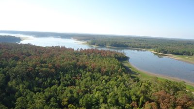 aerial view of river and trees in texas