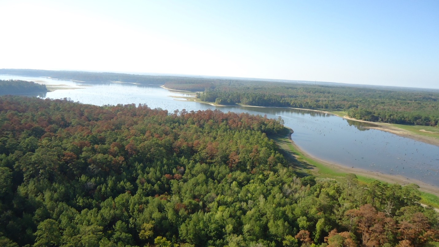 aerial view of river and trees in texas