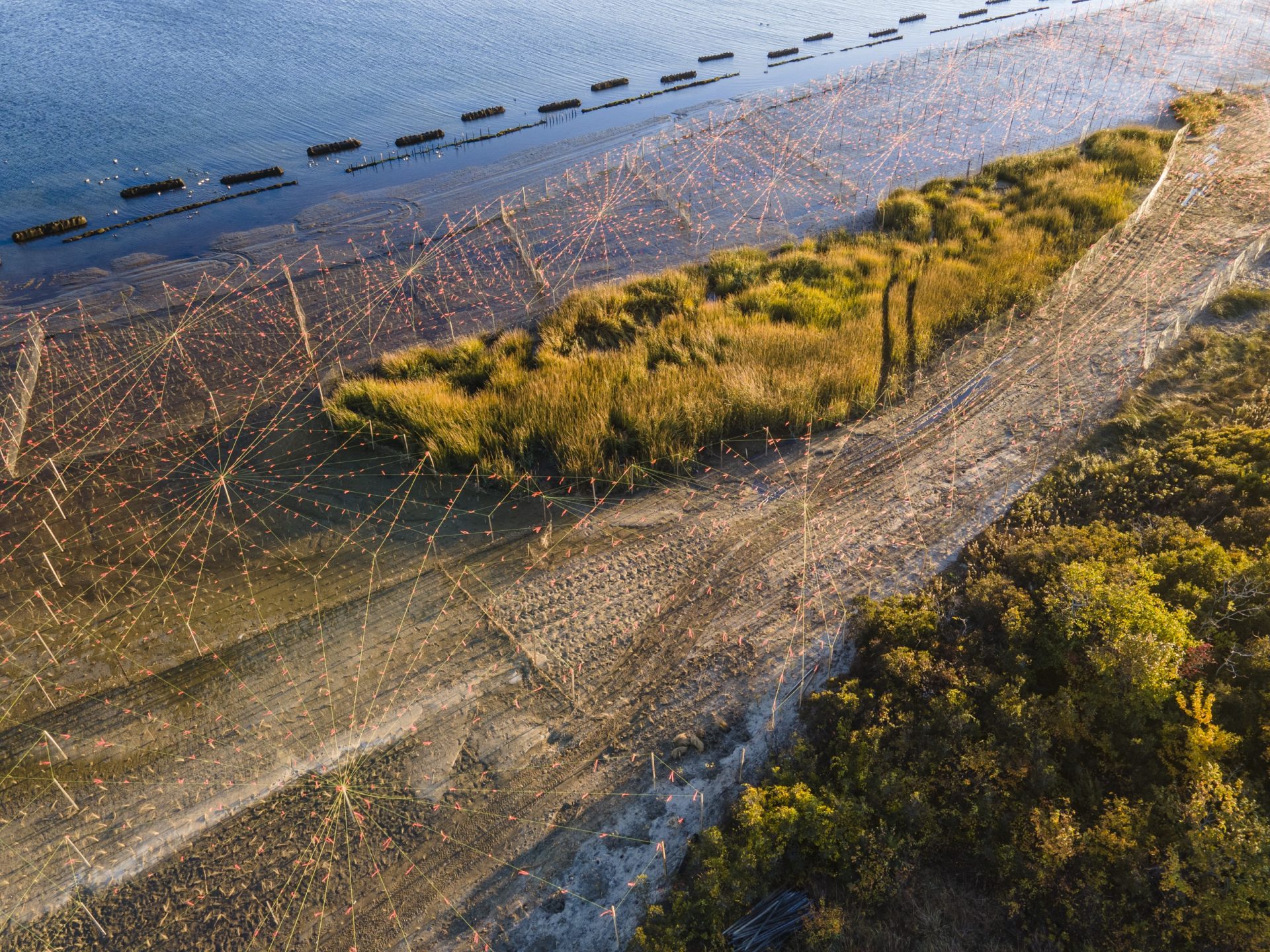 shoreline with wooden posts and flags with eco implementation