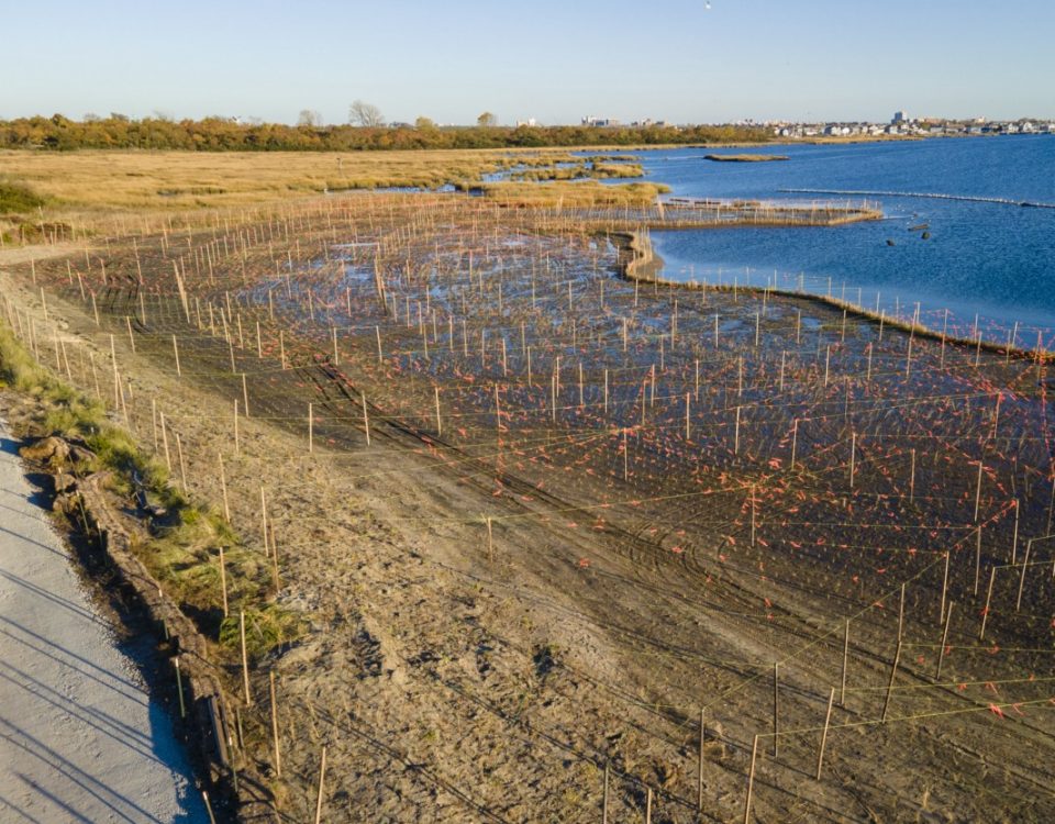 living shoreline with wooden stakes with water on right