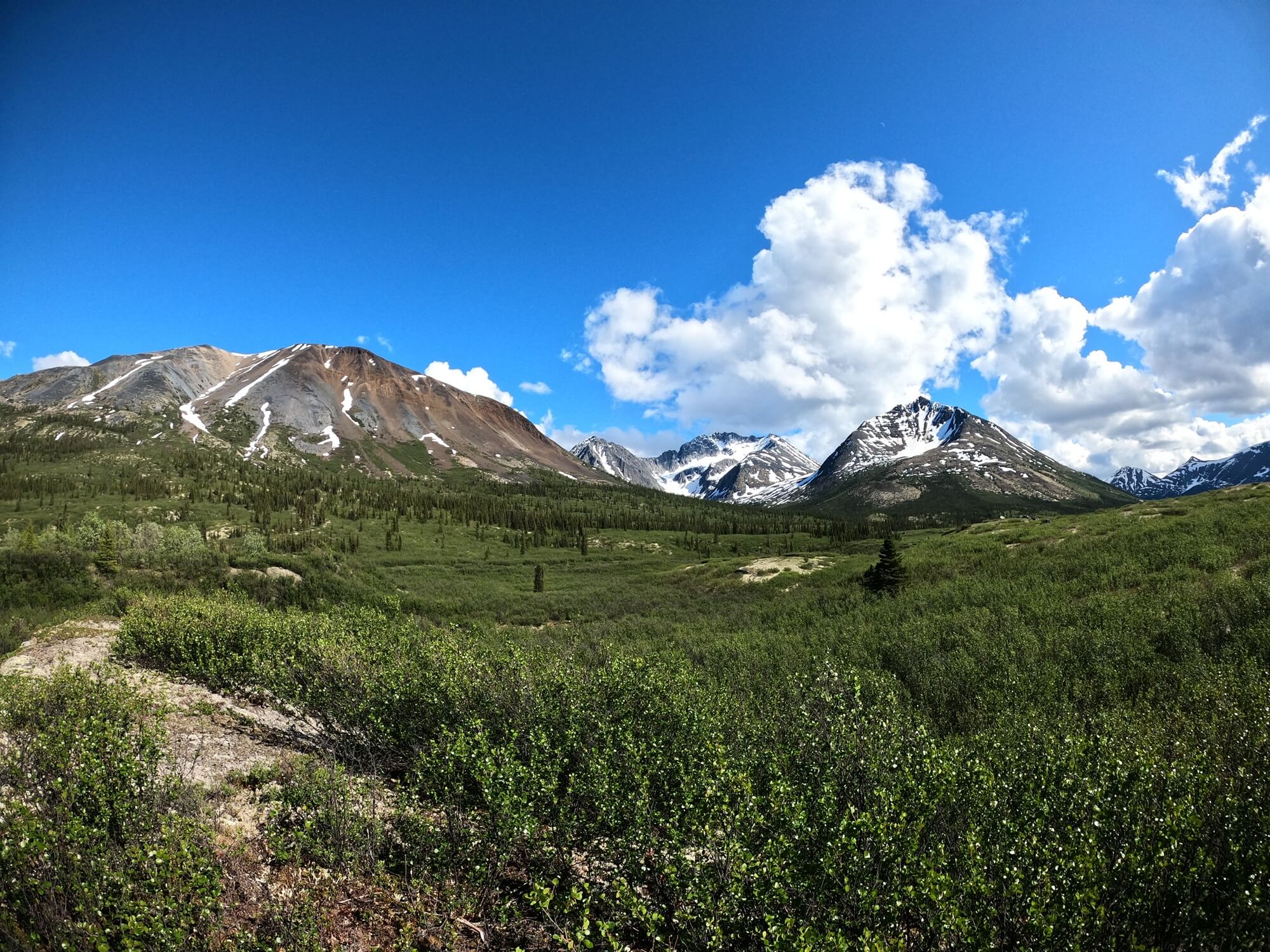 yukon mountains with mountains and field on clear day