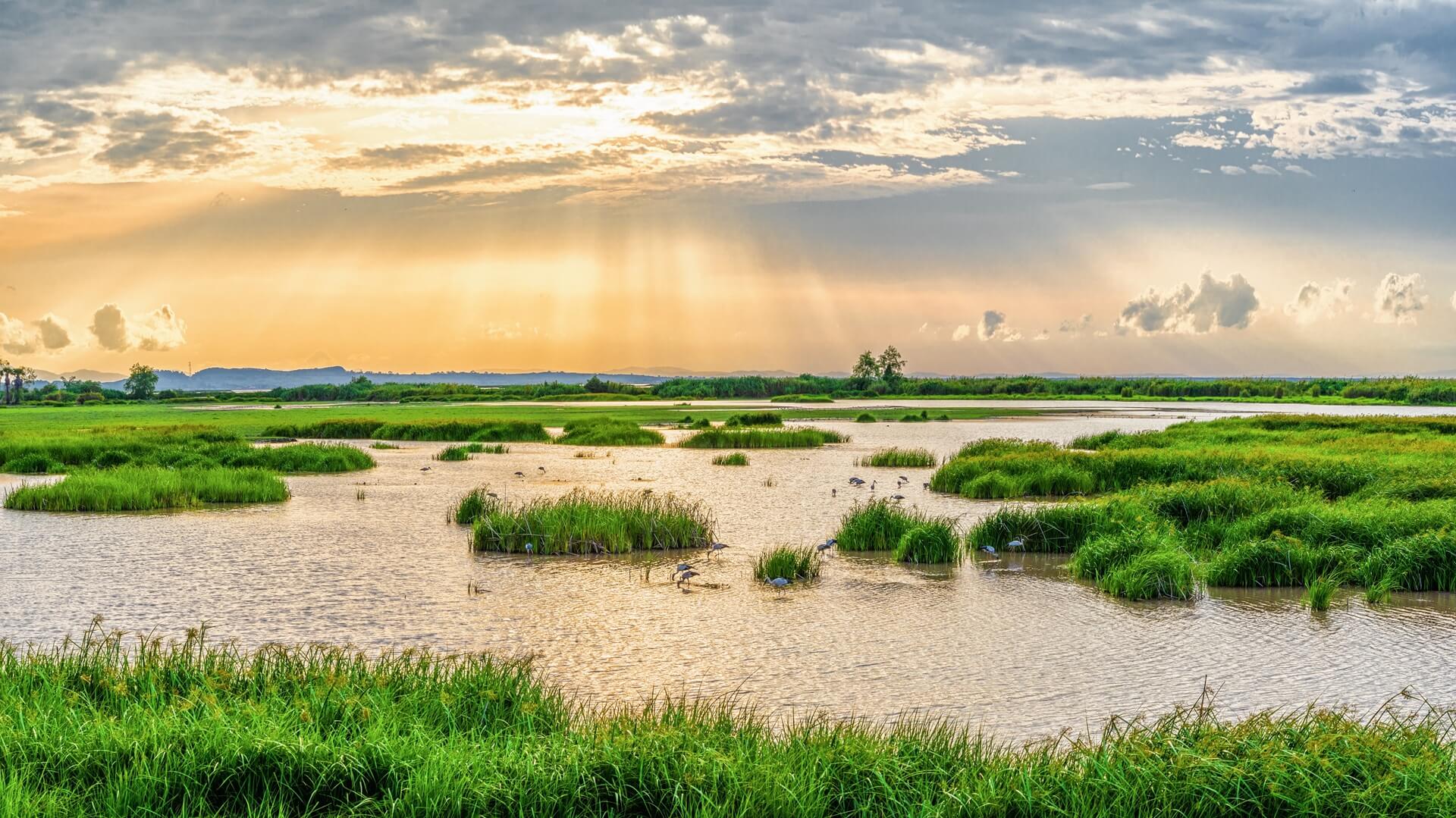 sun rays coming through clouds on wetlands
