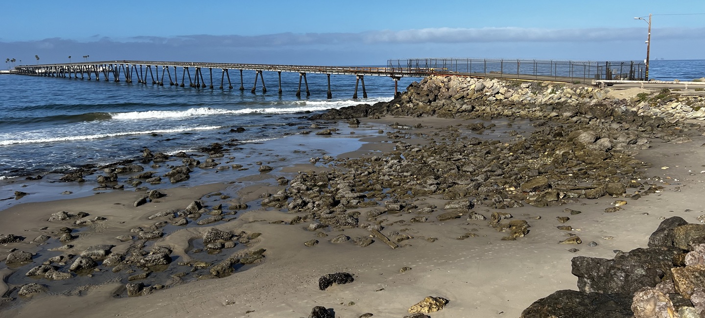 pier going over ocean in the distance with California beach
