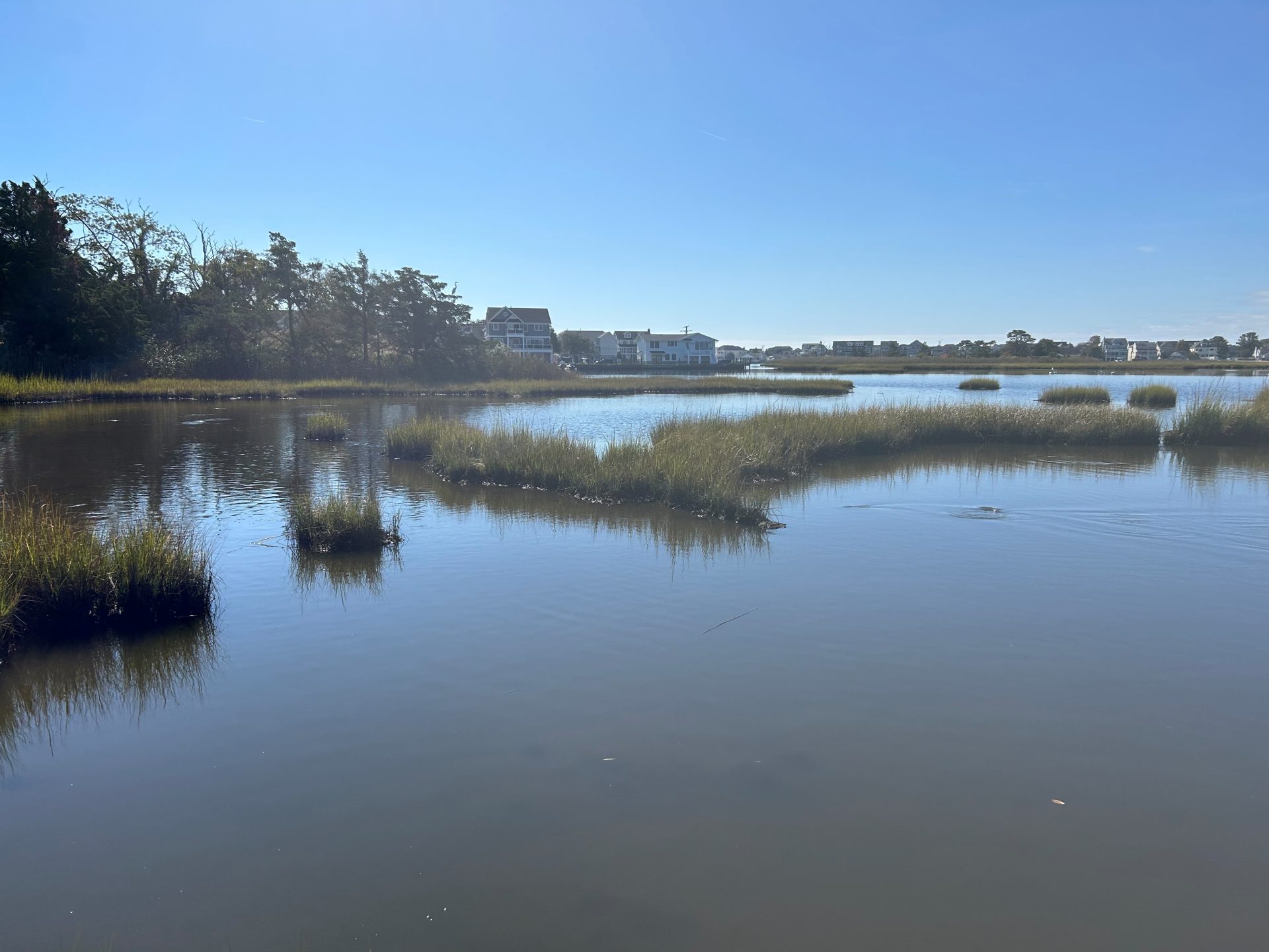 marsh view