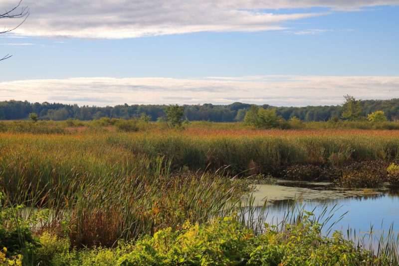VDOT Climate Change Resilience Planning
